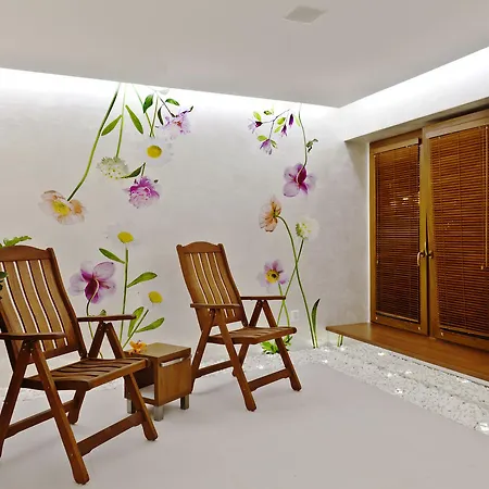& Wellness Lesanka 3*