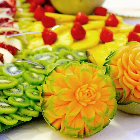 Hotell & Wellness Lesanka Košická Belá